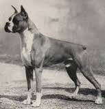 /album/%cf%80%ce%b7%ce%b3%ce%ae-%3a-boxernews-forumcommunity-net/%ce%b1%ce%bd%cf%84%ce%af%ce%b3%cf%81%ce%b1%cf%86%ce%bf-%282%29-%ce%b1%cf%80%cf%8c-1972440-628284403885960-68432508-n-jpg/